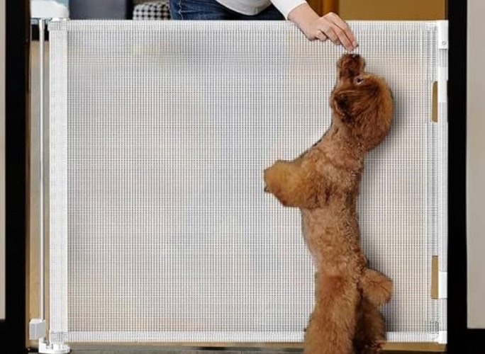 dearlomum 1 pack Retractable Baby Gate,Mesh Baby Gate or Mesh Dog Gate,33" Tall,Extends up to 55" Wide,Child Safety Gate for Doorways, Stairs, Hallways, Indoor/Outdoor?White,33"x55"