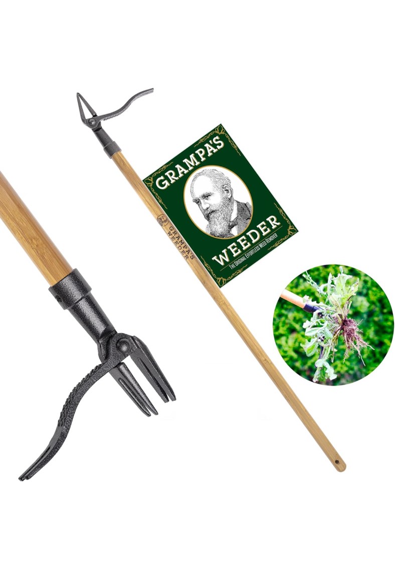 Grampa's Weeder - The Original Stand Up Weed Puller Tool with Long Handle - Made with Real Bamboo & 4-Claw Steel Head Design - Easily Remove Weeds Without Bending, Pulling, or Kneeling.