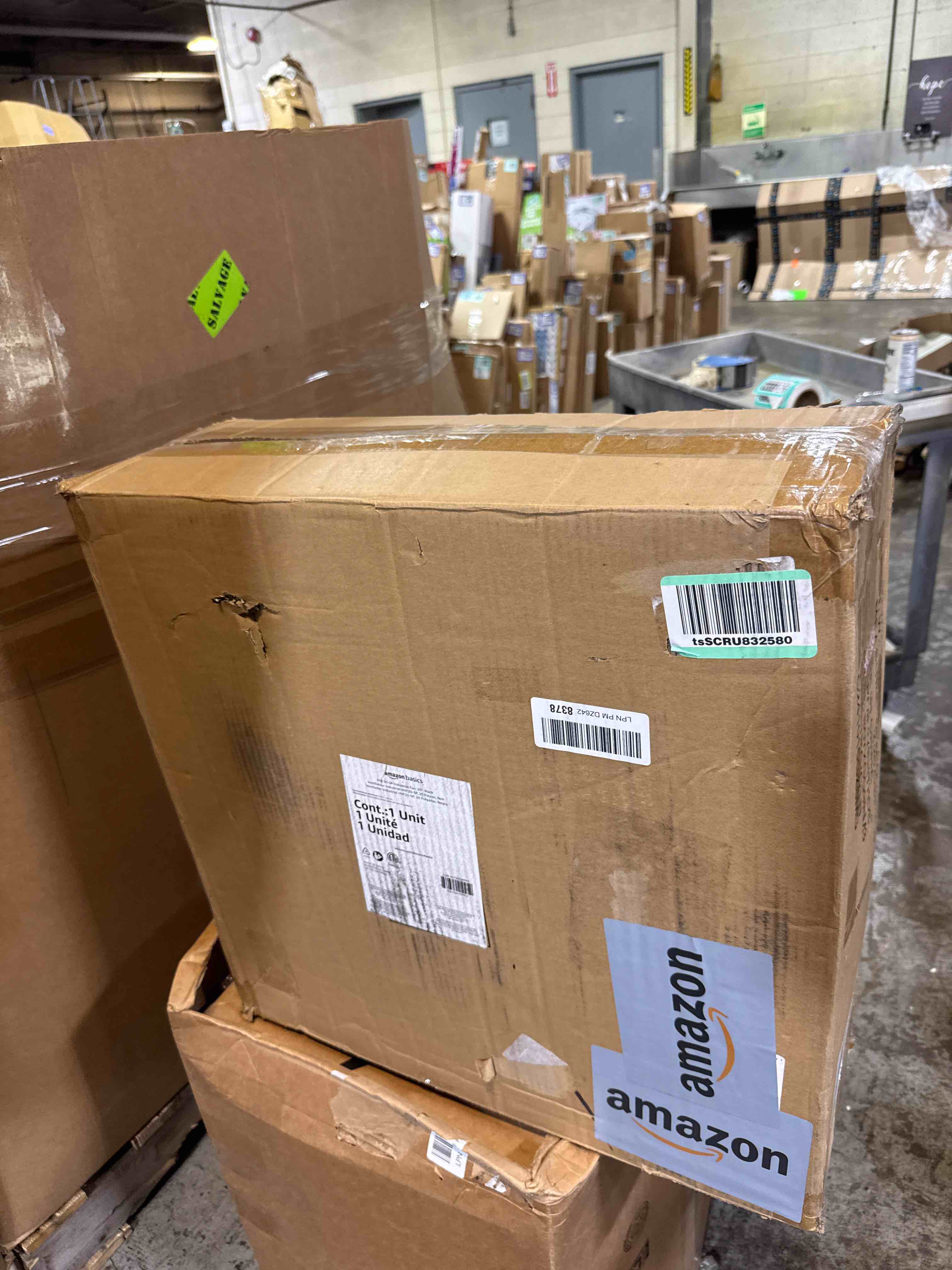 https://s3.amazonaws.com/lotting-images-prod/phillipi/PNK3533120_1752601093480.jpeg