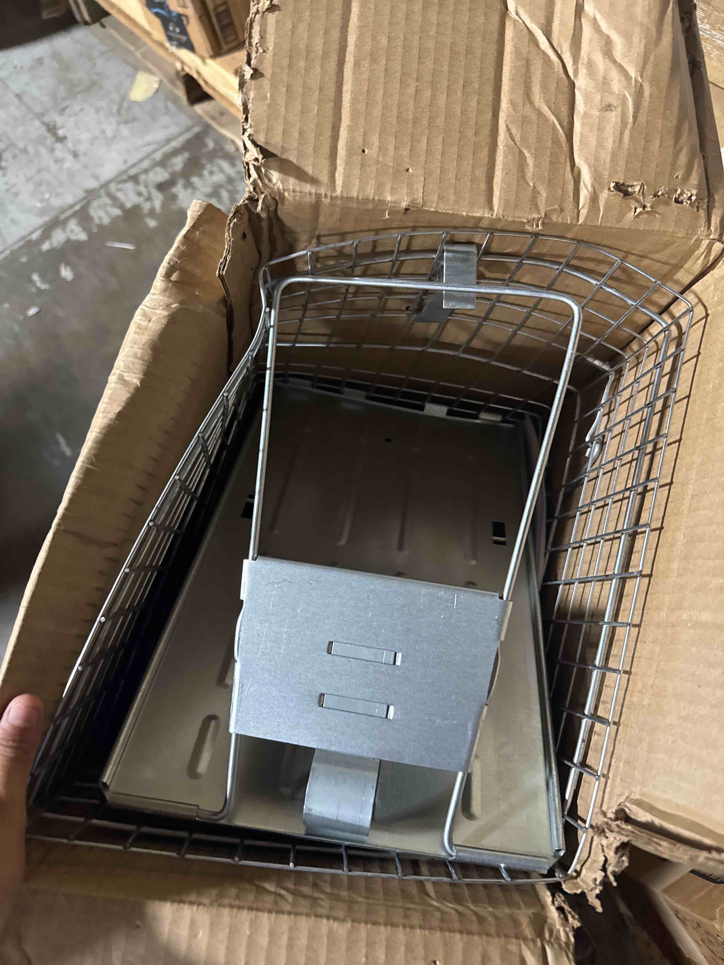https://s3.amazonaws.com/lotting-images-prod/phillipi/PNK3533288_1752854226615.jpeg