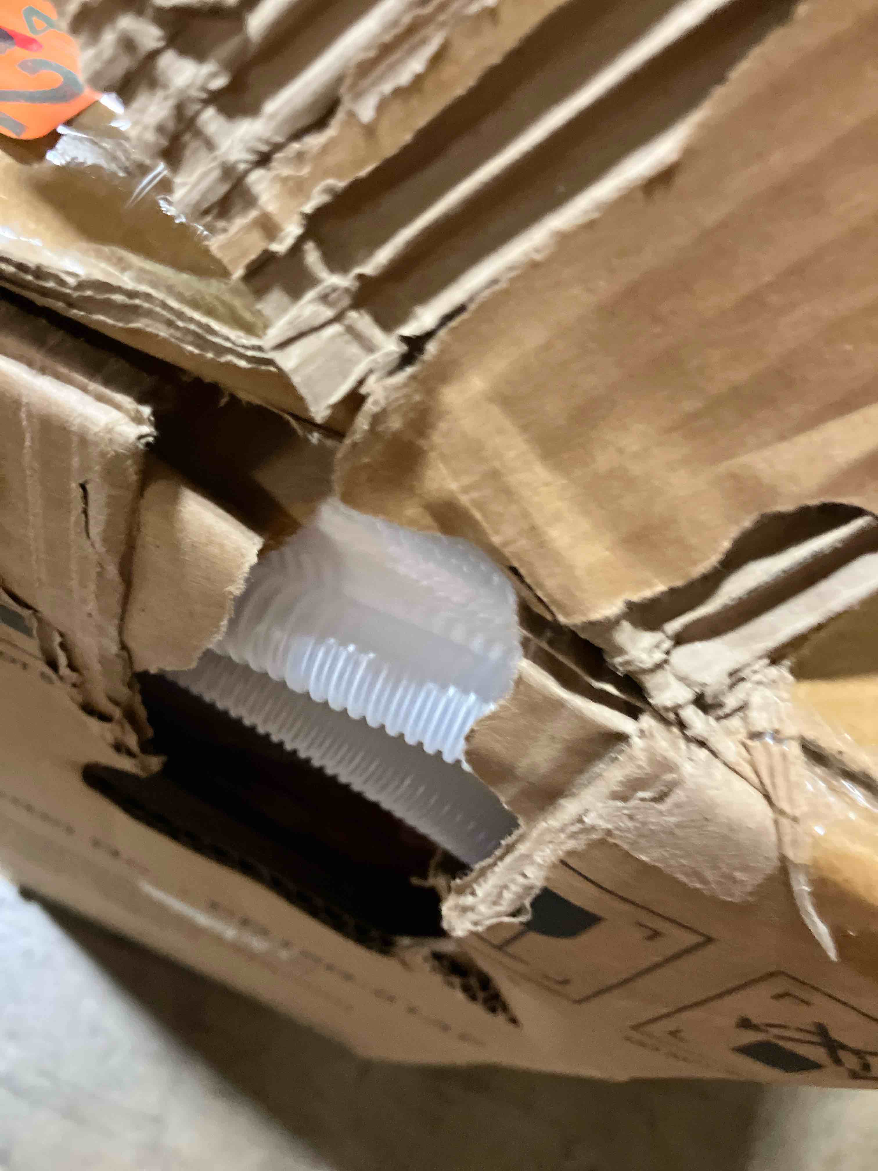 https://s3.amazonaws.com/lotting-images-prod/phillipi/PNK3533369_1753114154883.jpeg