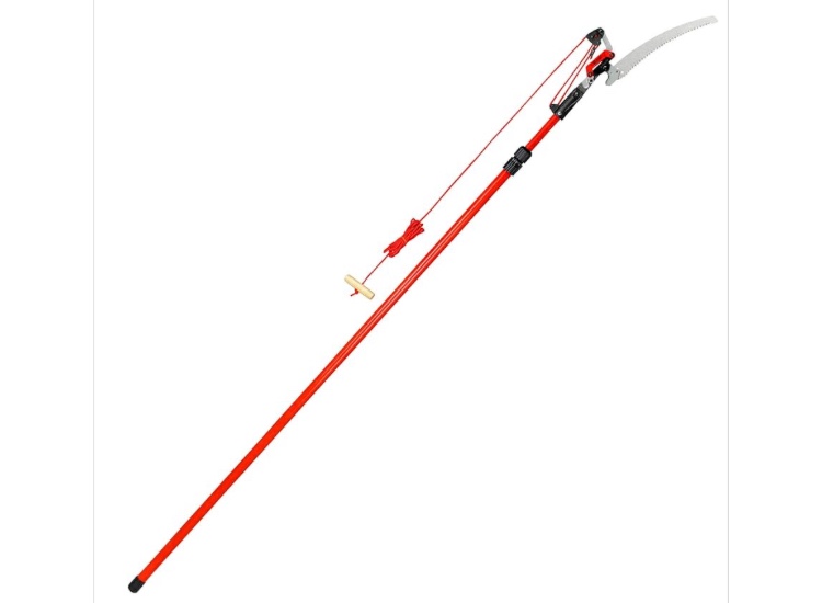 Corona tools TP 4210 DualLink Tree Saw and Pruner, 10 Feet,Red