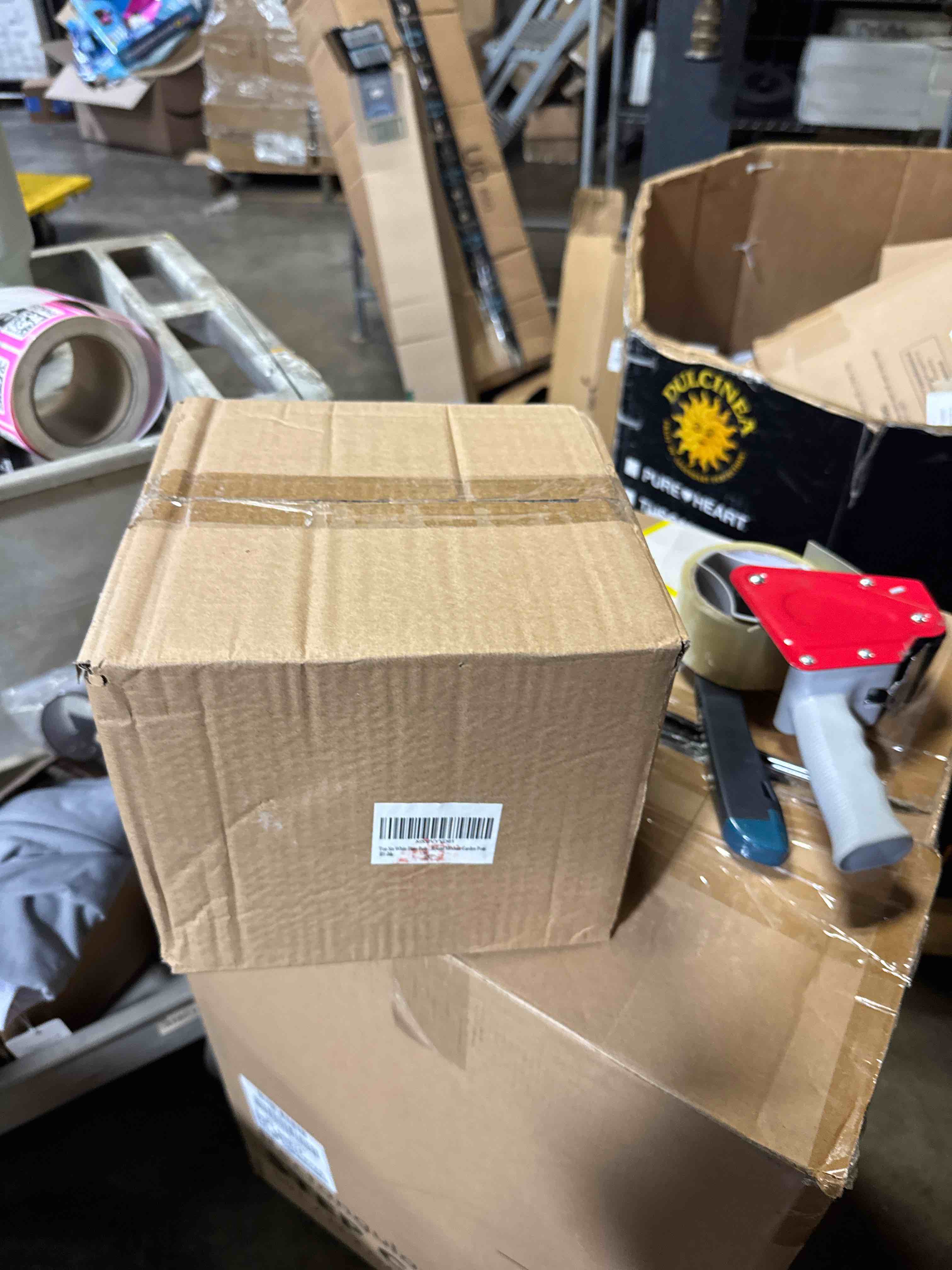 https://s3.amazonaws.com/lotting-images-prod/phillipi/PNK3534481_1755709688746.jpeg