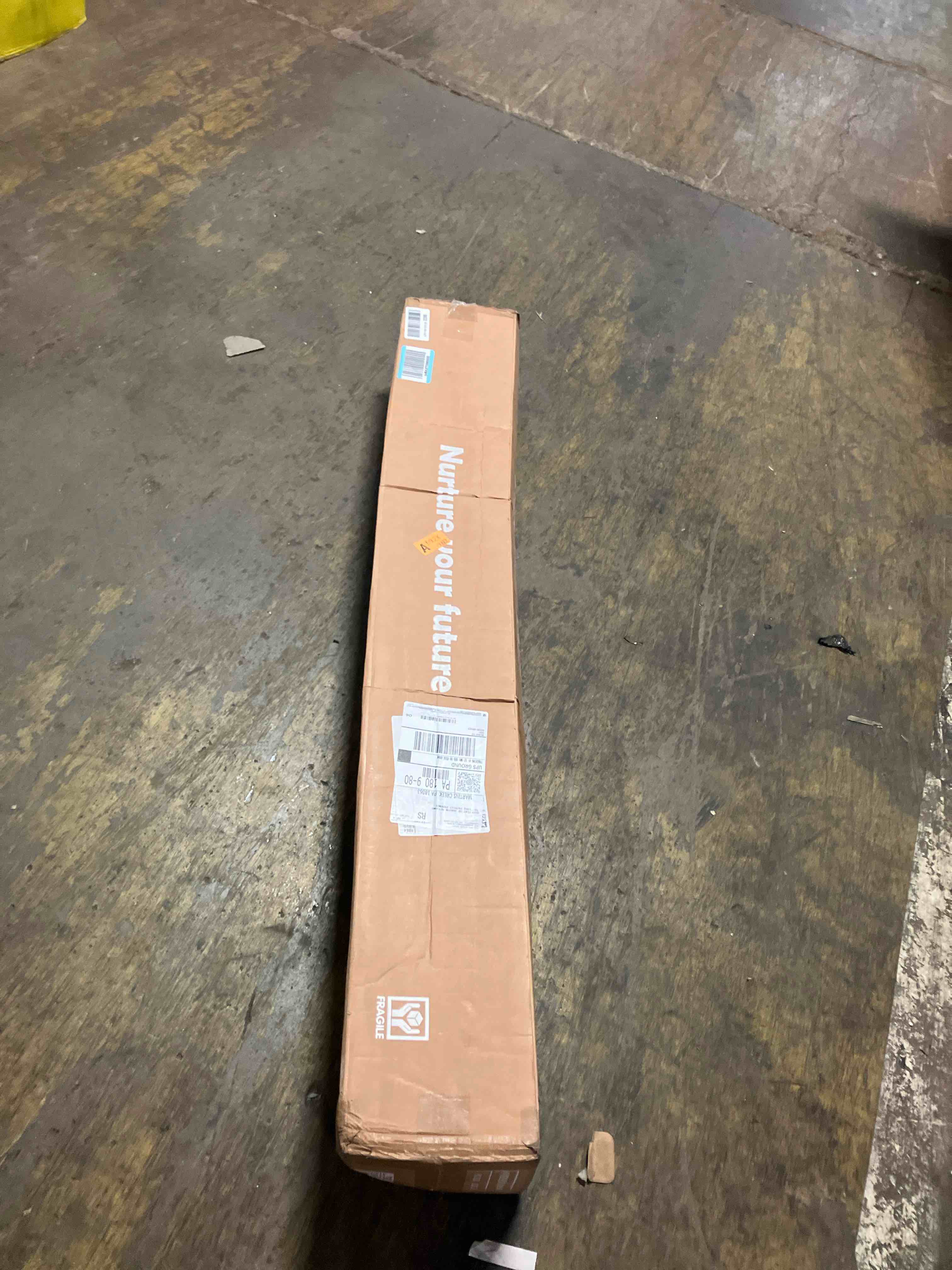 https://s3.amazonaws.com/lotting-images-prod/phillipi/PNK3537736_1756318484704.jpeg