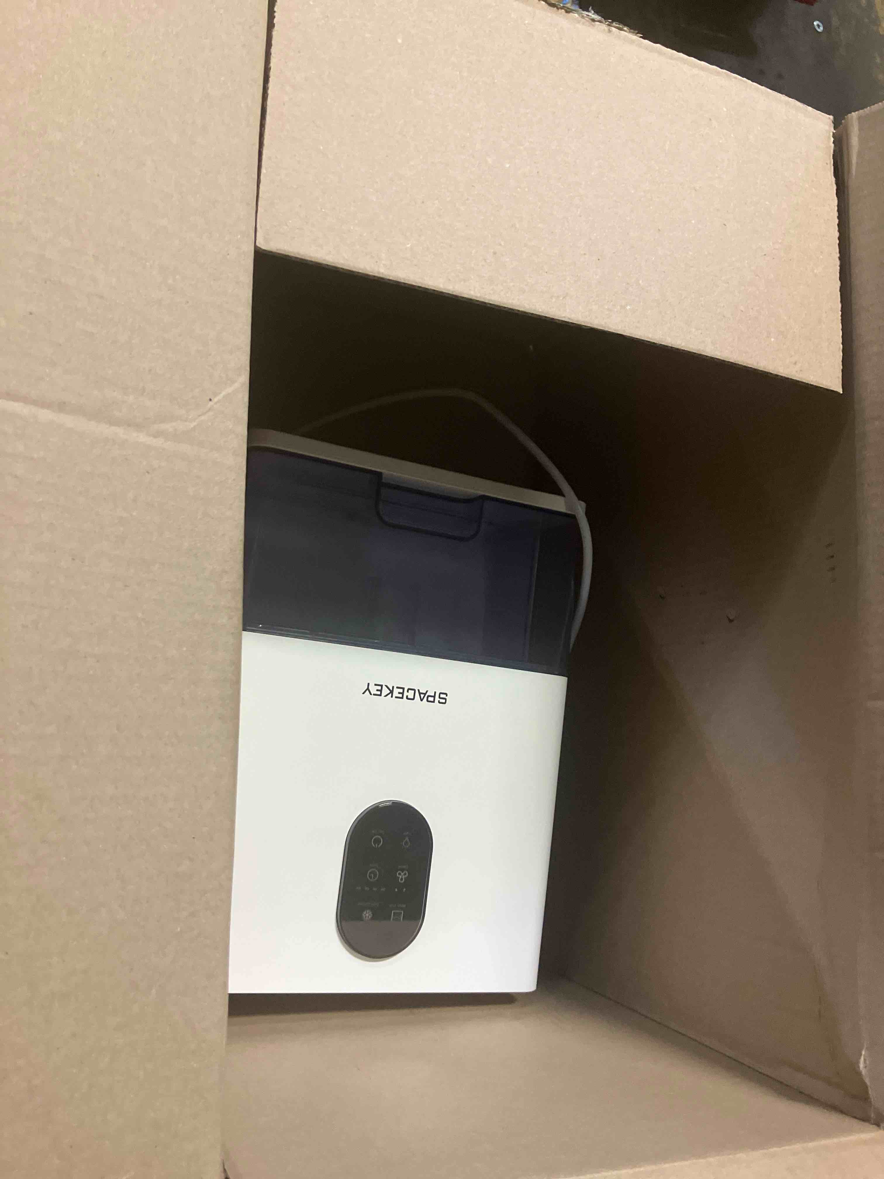 https://s3.amazonaws.com/lotting-images-prod/phillipi/PNK3538882_1753812239132.jpeg