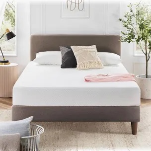 Wayfair sleep 10in infuse foam mattress queen