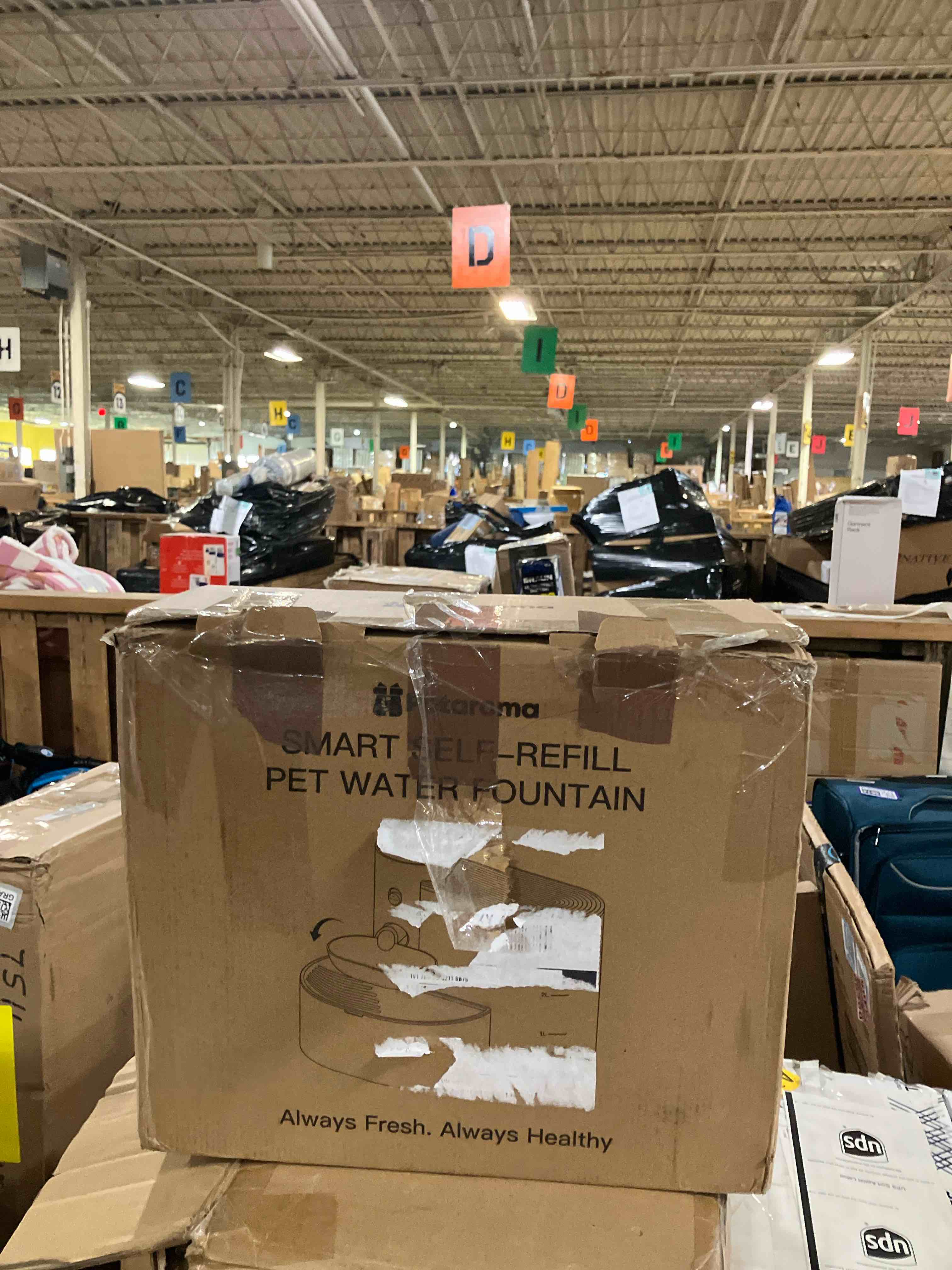 https://s3.amazonaws.com/lotting-images-prod/phillipi/PNK3540725_1754661887764.jpeg