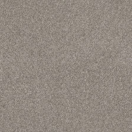 (2 Boxes) STAINMASTER Stuck On You 9-in x 36-in Cobble Drive Brown Residential Peel and stick Indoor 