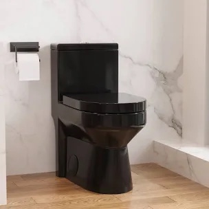 Compact One Piece Toilet 12" Rough-in, Elongated Toilet black
