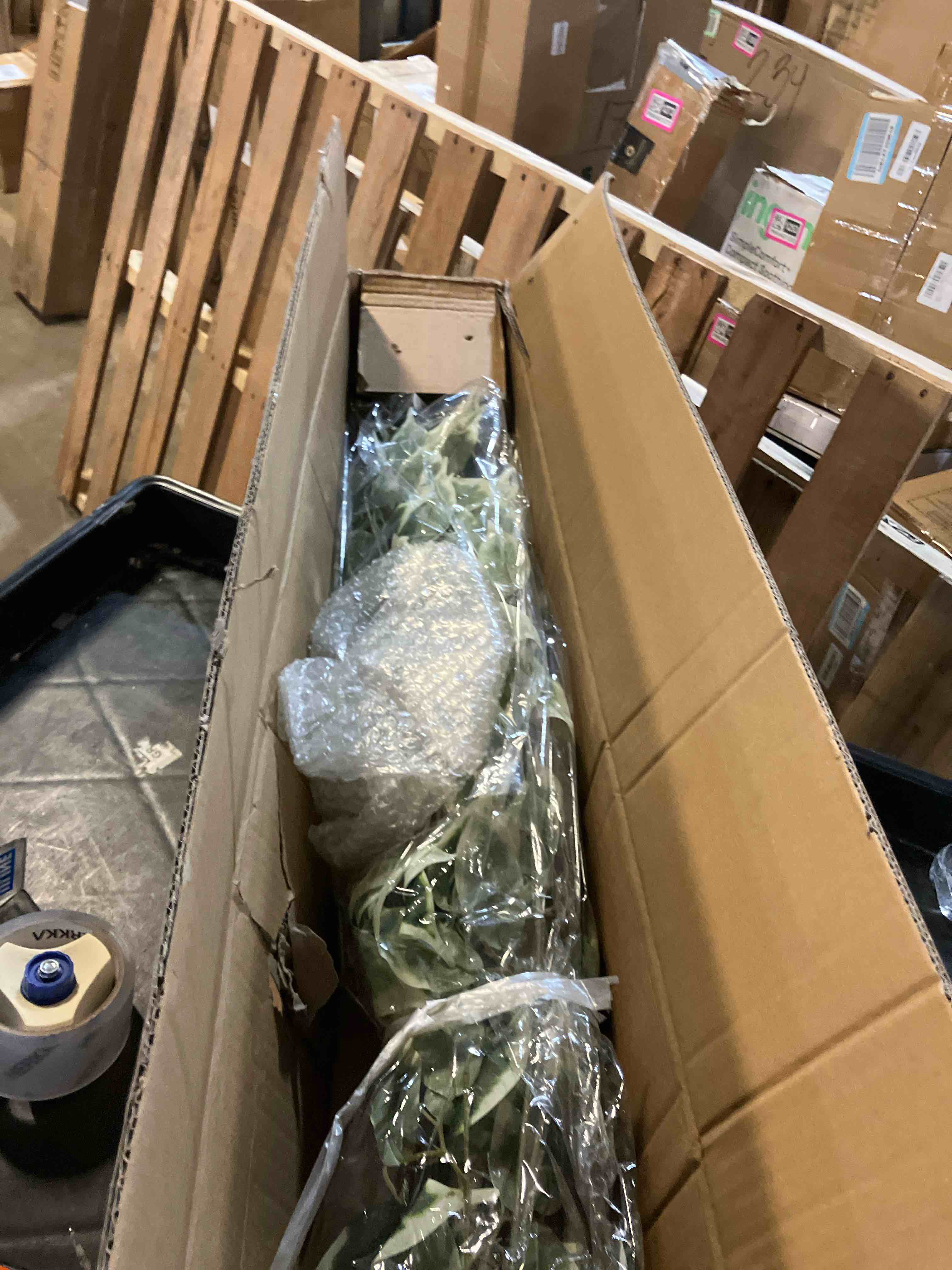 Condition photo showing New/Like New for Artificial Ficus Tree - 4 FT Tall Silk Fake Tree with Pot - Lifelike Foliage & Branches for Indoor/Outdoor Decor