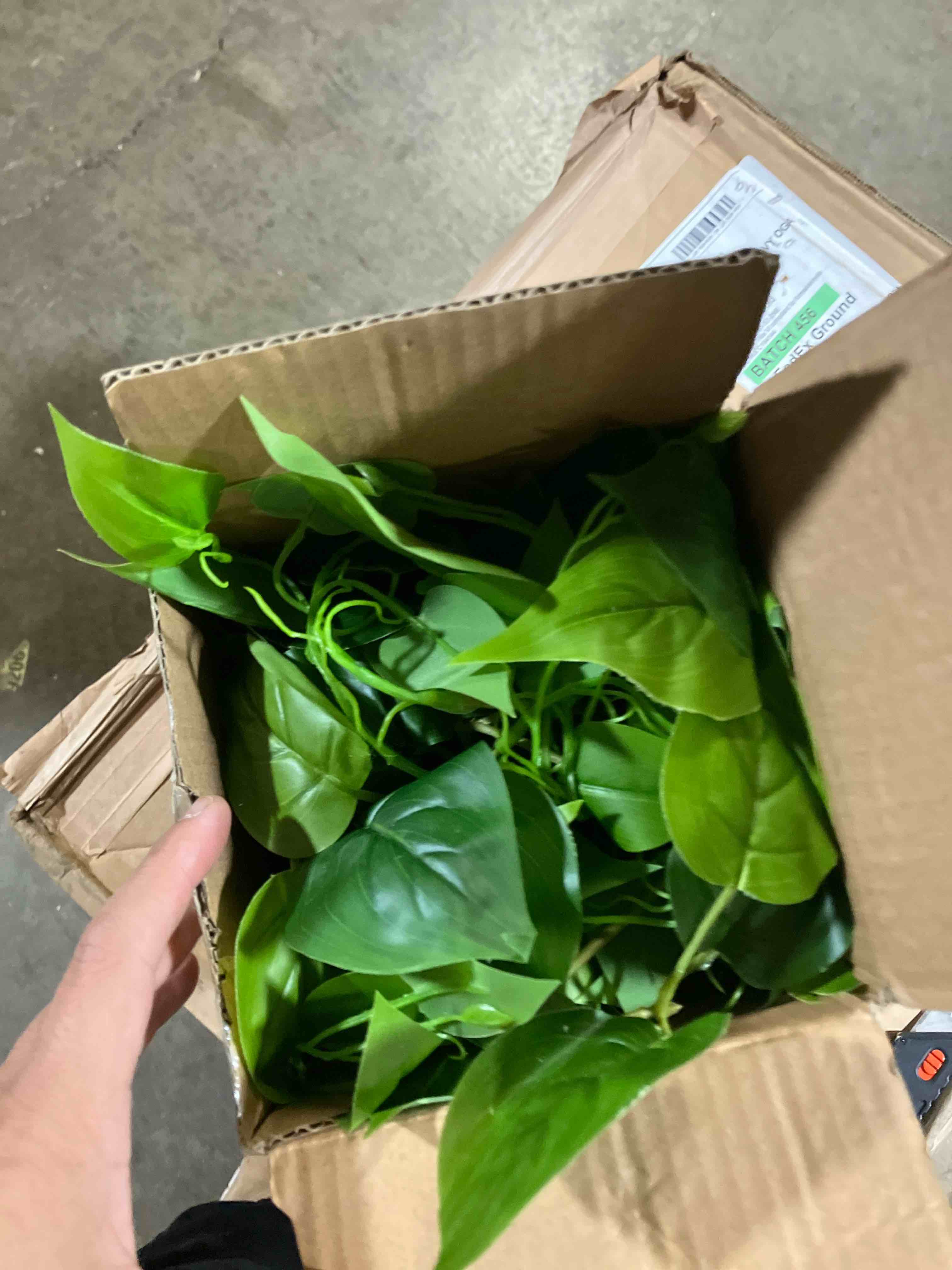 Condition photo showing New/Like New for Artificial Plants Fake Pothos with Plastic Pot Artificial Potted Plant for Home Office Bedroom Indoor Outdoor Decor 1 Pack