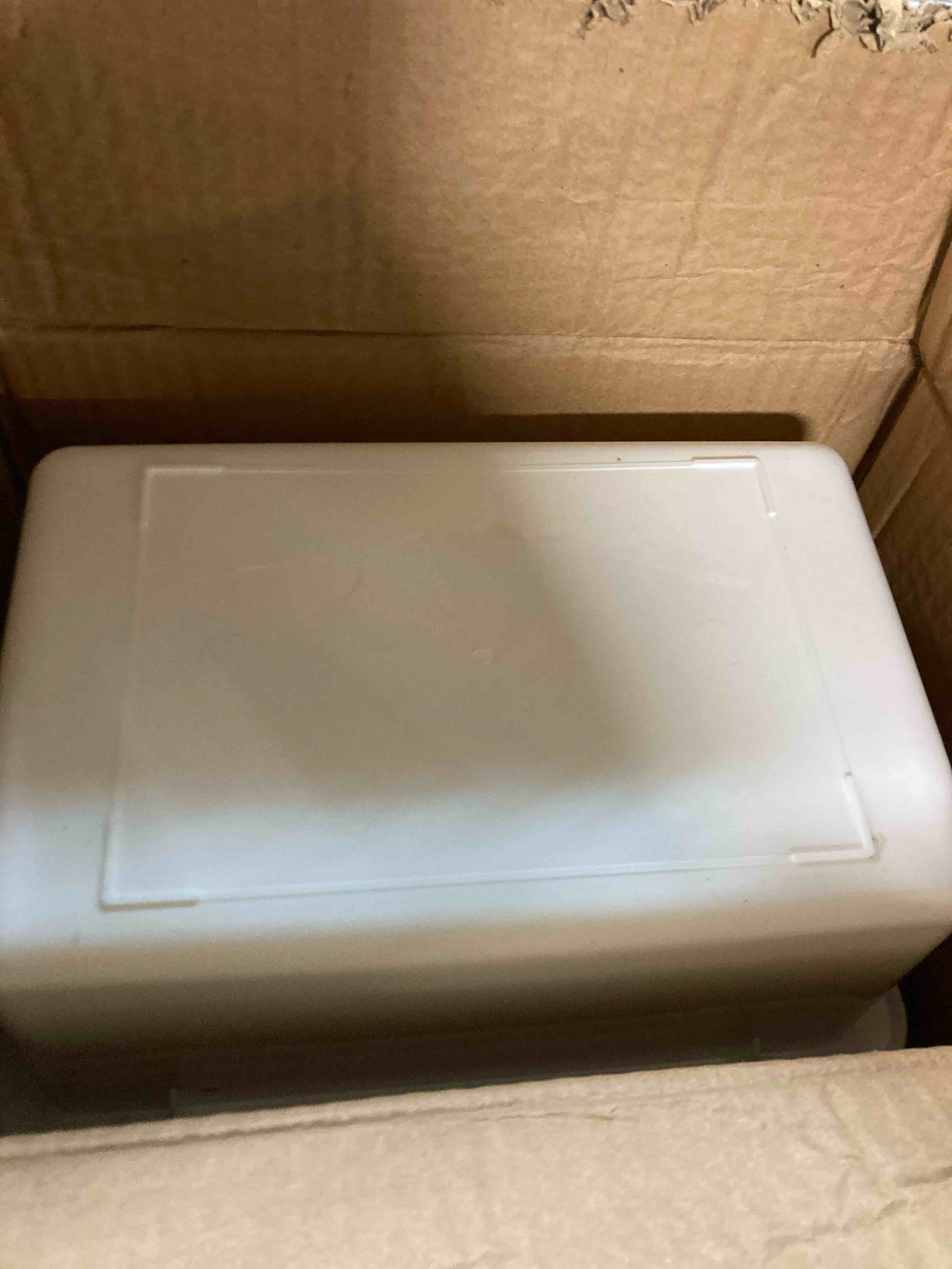 Condition photo showing Good Condition for Remerry 6 Pack Polypropylene Containment Tray 15 L x 10.8 W x 4 H Rectangular Lab Tray for Sterilizing and Drying Laboratory Supplies, Durable and Temperature Resistant Plastic