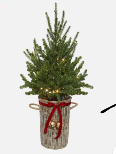 Member's Mark 48" Pre-Lit Topiary in Woven Basket