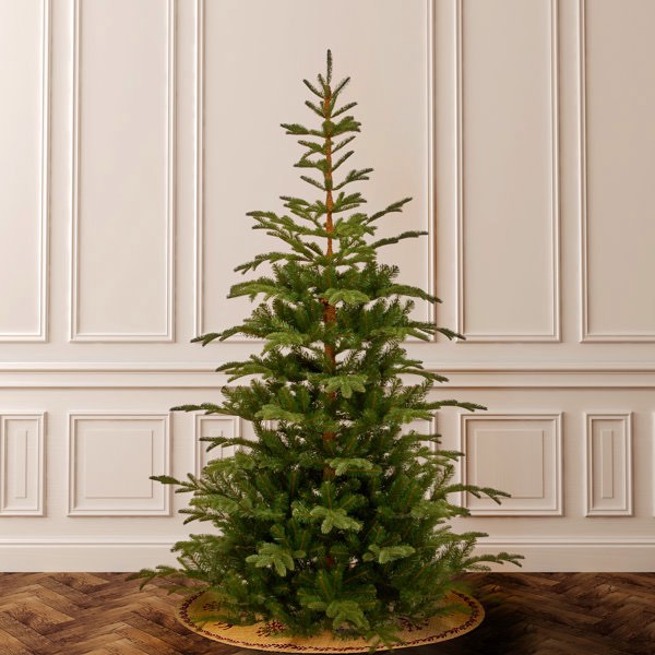7.5ft. norwegian spruce tree unlit