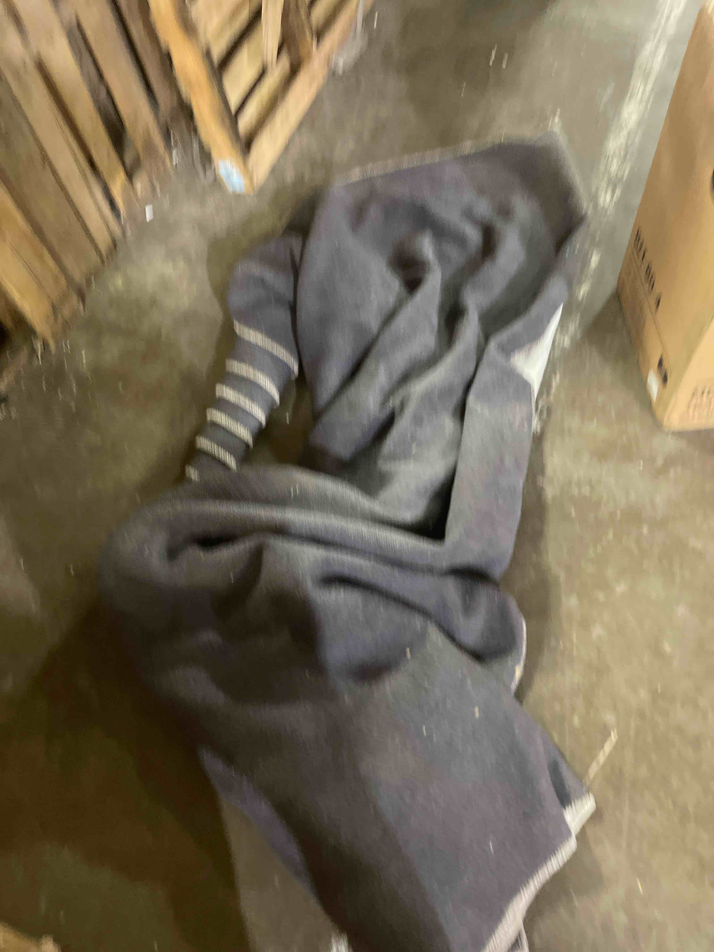 Condition photo showing Good Condition for loloi rifle paper co. rosa collection rsa-01 ivory 7'-6" x 9'-6" area rug