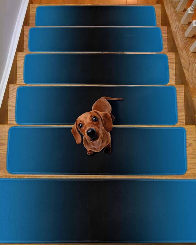 Non-Slip Indoor Stair Tread blue