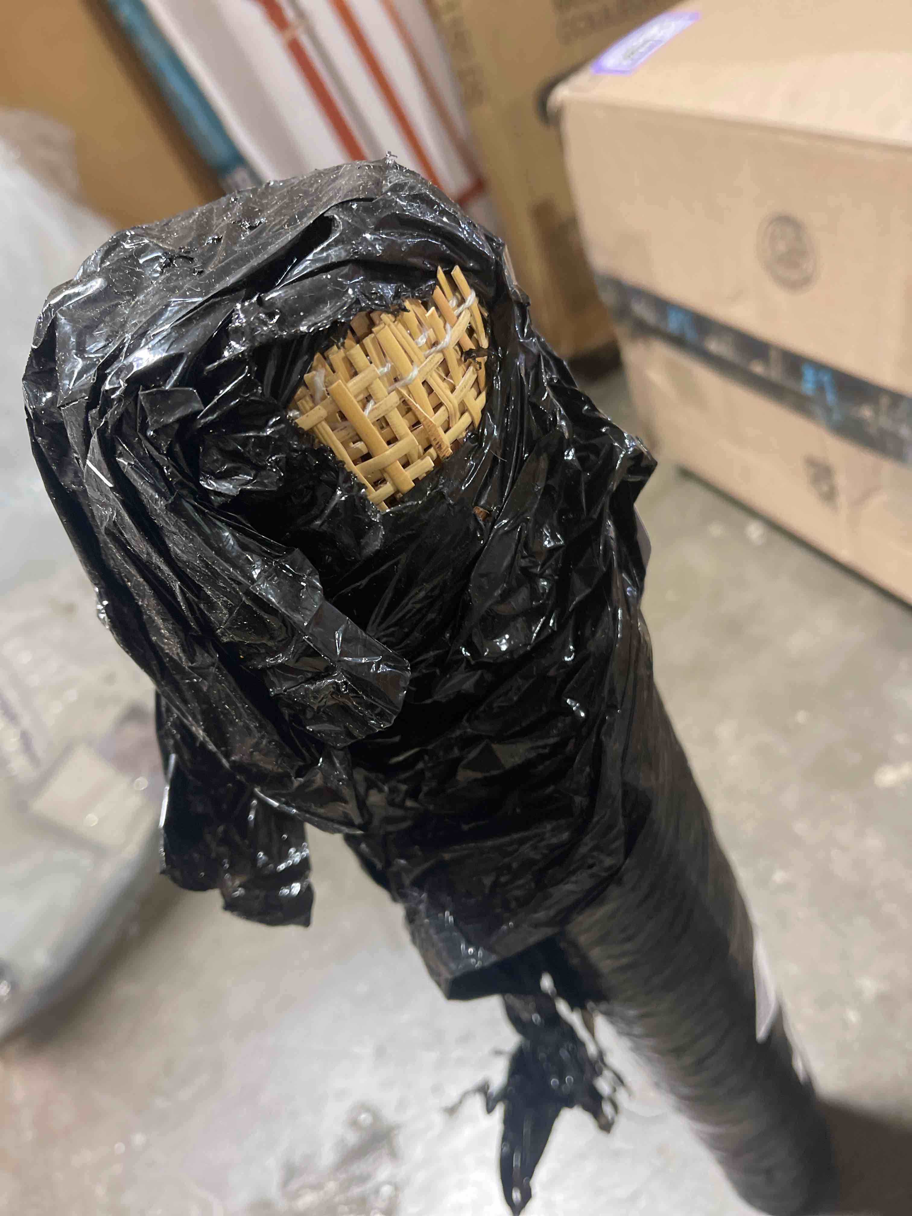 https://s3.amazonaws.com/lotting-images-prod/phillipi/PPE0116471_1728587576458.jpeg