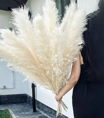10 Stems 46" inch White Pampas Grass Decor Tall, Large Pompas Grass, Boho Neutral Home Decor Bouquet, Fluffy Pampass Grass for Floor Vase Wedding Floral Arrangements Wall Farmhouse Table Decor