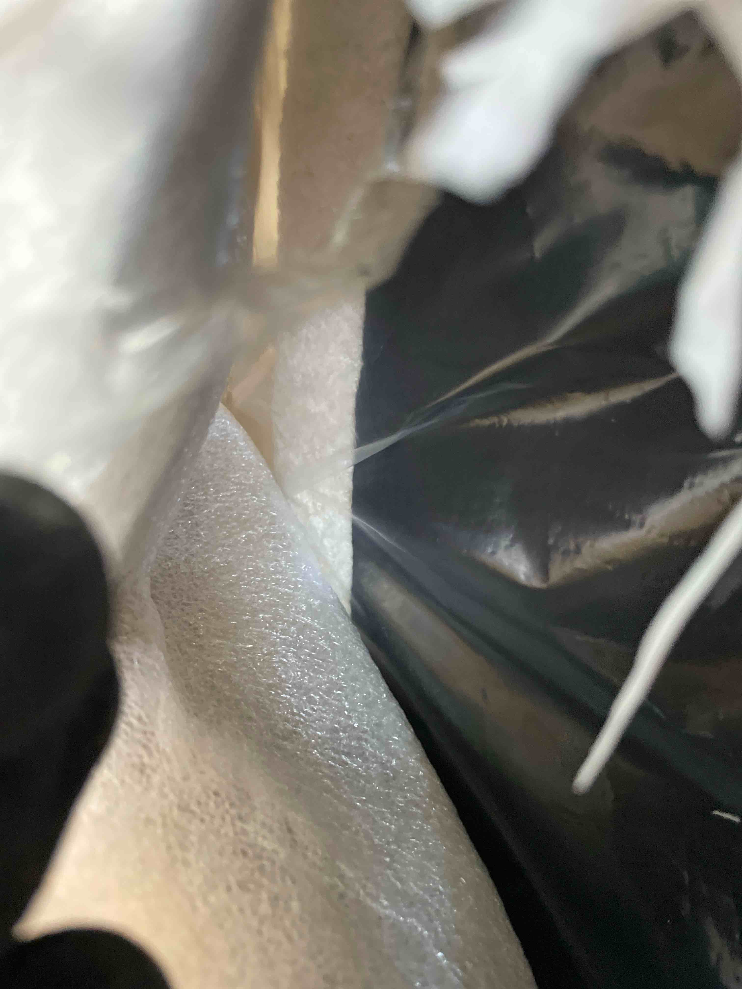 https://s3.amazonaws.com/lotting-images-prod/phillipi/PPE0528419_1737395688037.jpeg