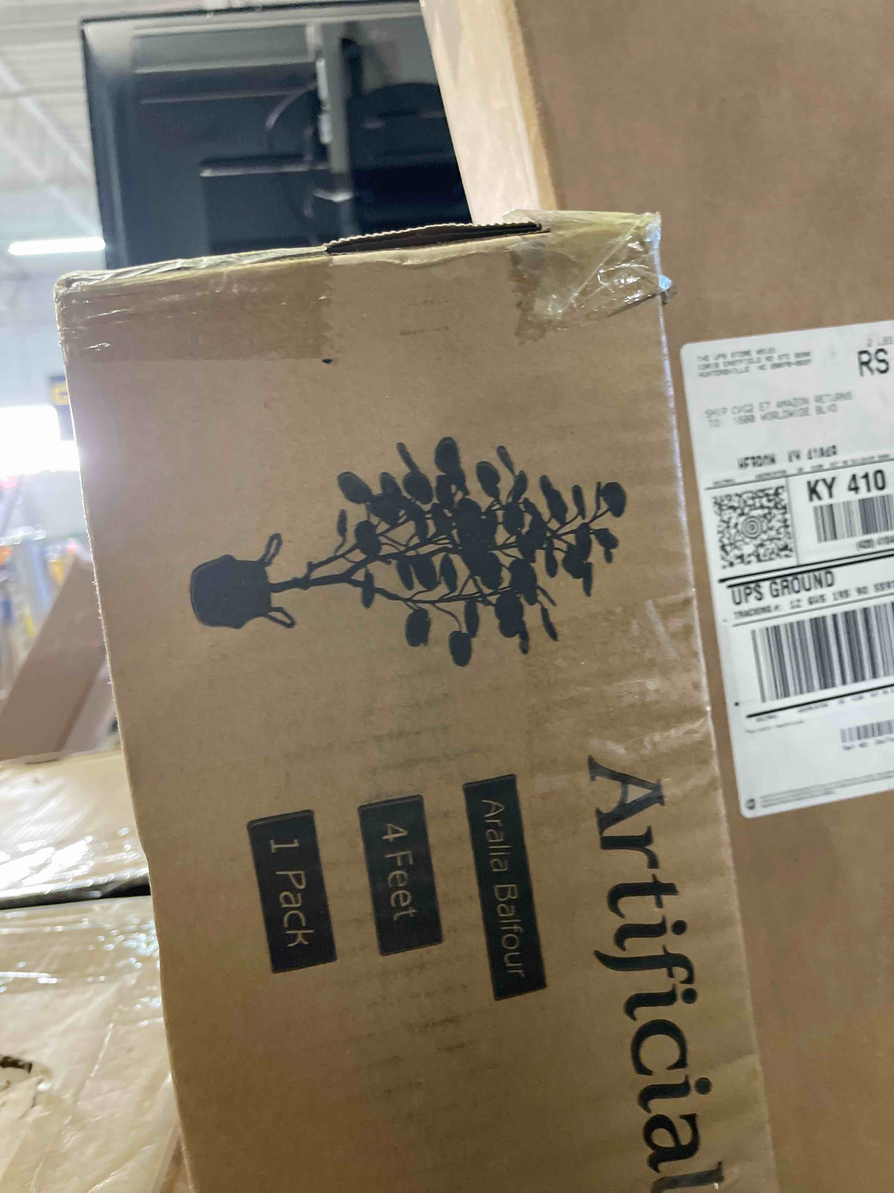 https://s3.amazonaws.com/lotting-images-prod/phillipi/PPE0539097_1733151246573.jpeg