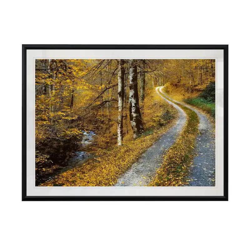 Winding Road-Framed Giclee Print 26" x 36"