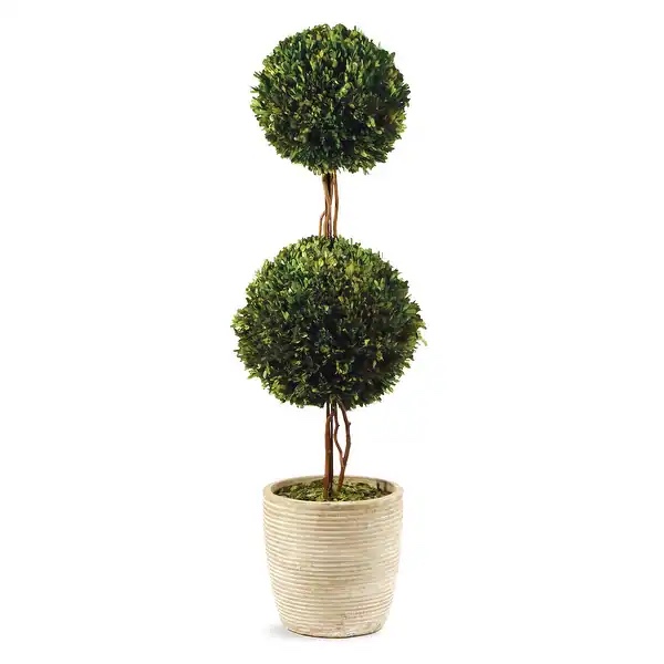 Boxwood Double Sphere Topiary 28" - Green