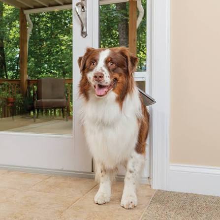 petsafe 1-piece sliding glass pet door for dogs & cats - adjustable height 91 7/16" to 96"- large, white, no-cut diy install, aluminum patio panel insert, great for renters or seasonal installation