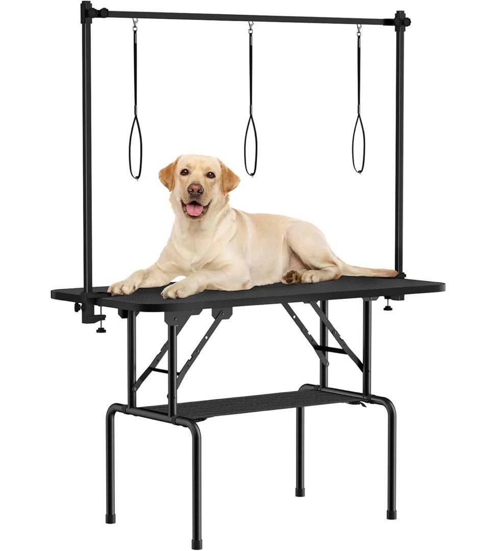 Condition photo showing New/Like New for Metal Adjustable and Foldable Folding Grooming Table