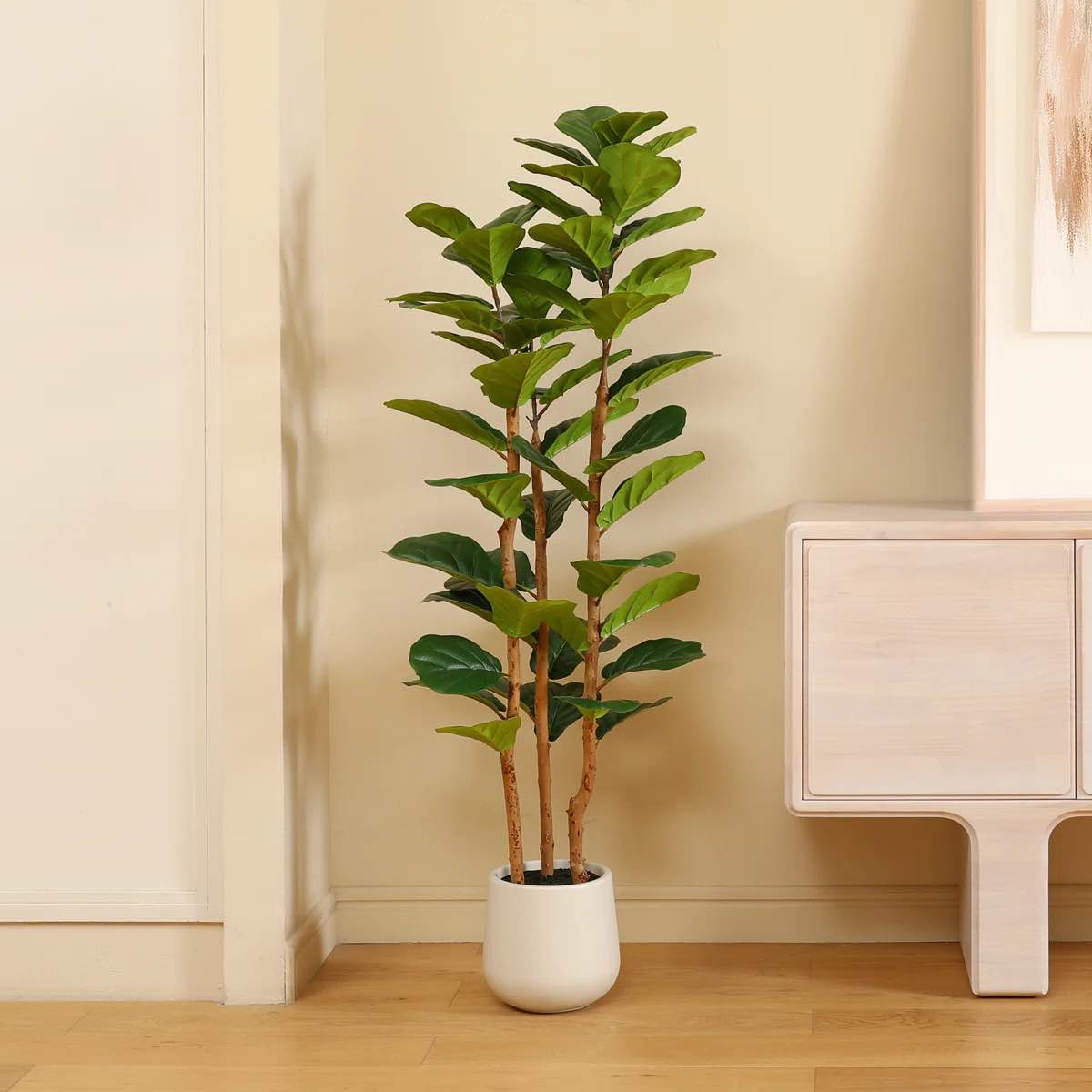 Condition photo showing New/Like New for artificial fiddle leaf fig tree with white planter,5ft tall fake tree with natural wood trunk for home decor, faux ficus tree fake moss for indoor office living room