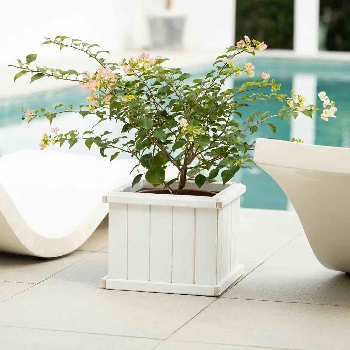 barros outdoor wood planter box new green house beauty and hope raised garden bed