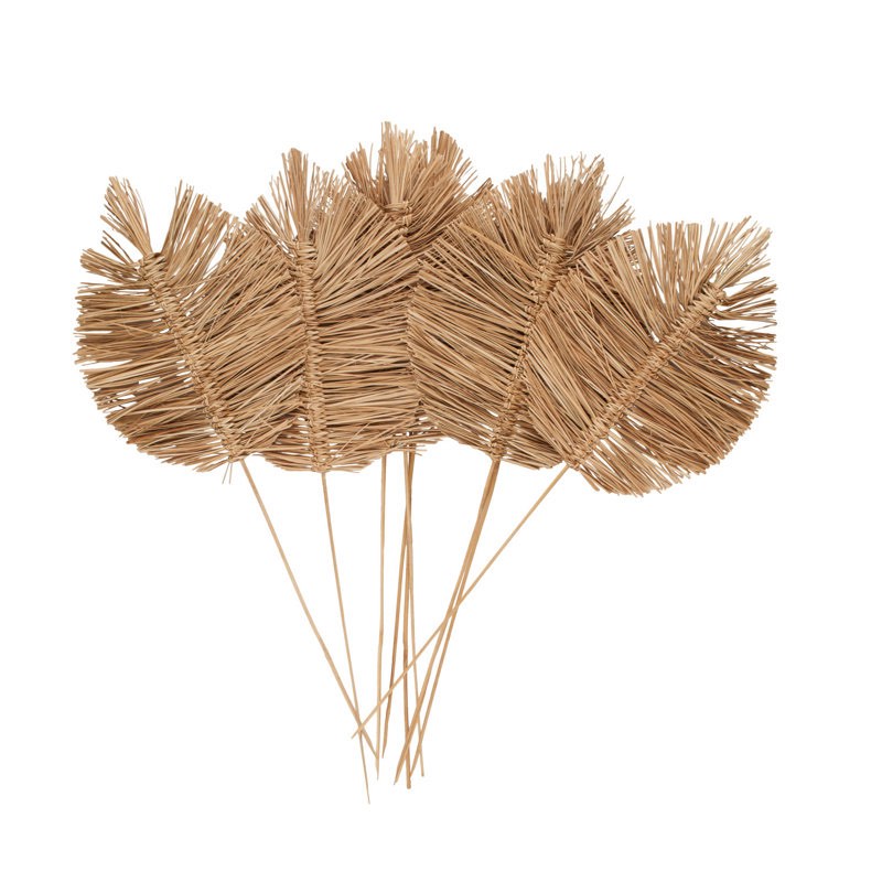 Condition photo showing New/Like New for cole and grey dried plant tall spear natural foliage with sharp stems
