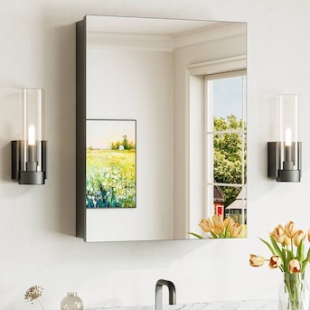 keonjinn medicine cabinet mirror 20-in x 26-in surface/recessed mount black mirrored