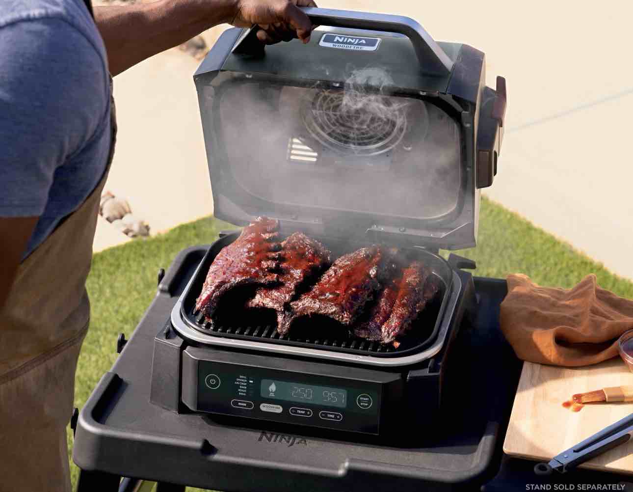 ninja woodfire outdoor grill & smoker, 6-in-1 functionality, grill, smoke, bake, roast, air fry, broil, authentic woodfire flavors, electric heat, og321