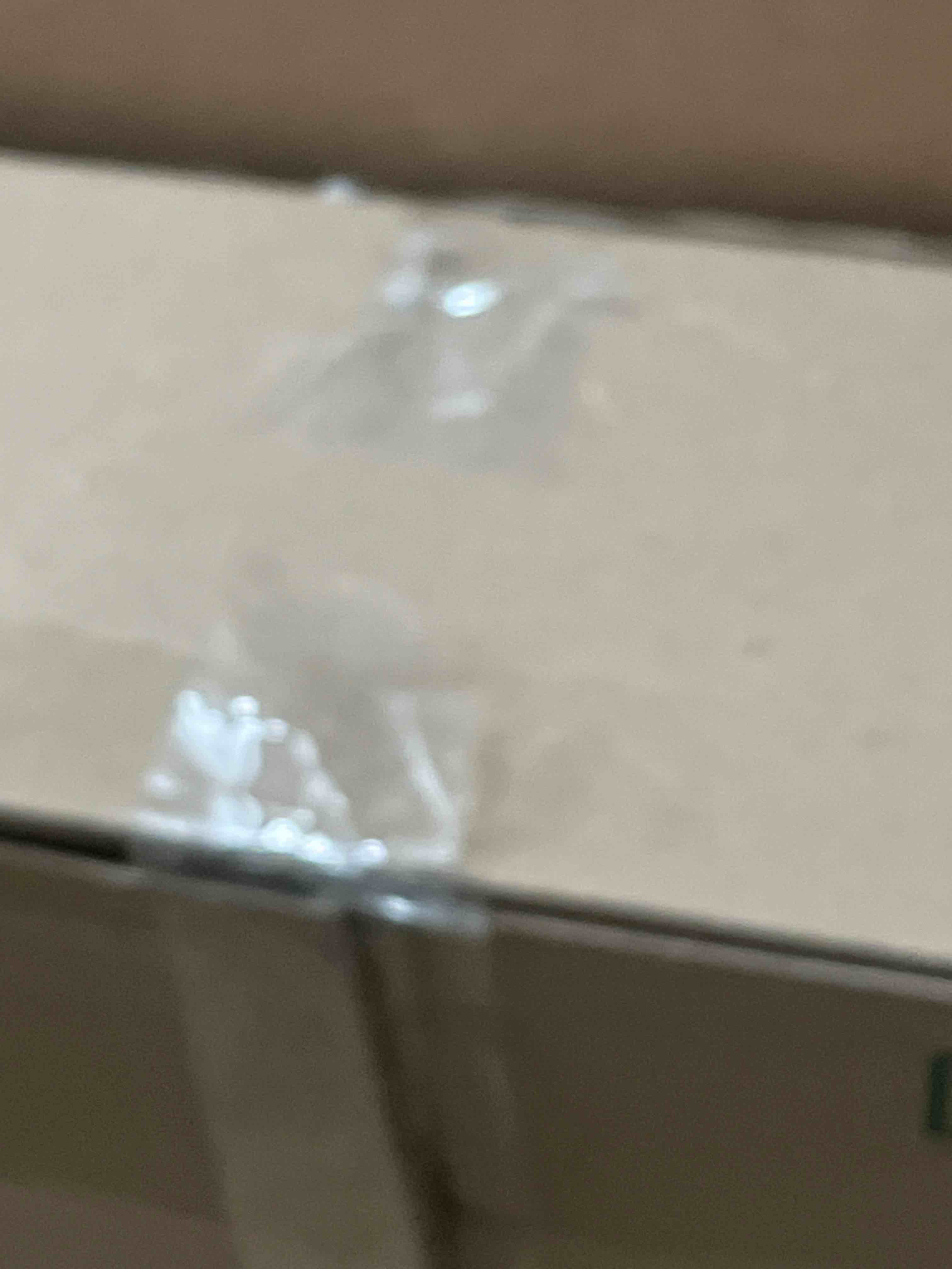 https://s3.amazonaws.com/lotting-images-prod/phillipi/PPE1688201_1776284248114.jpeg