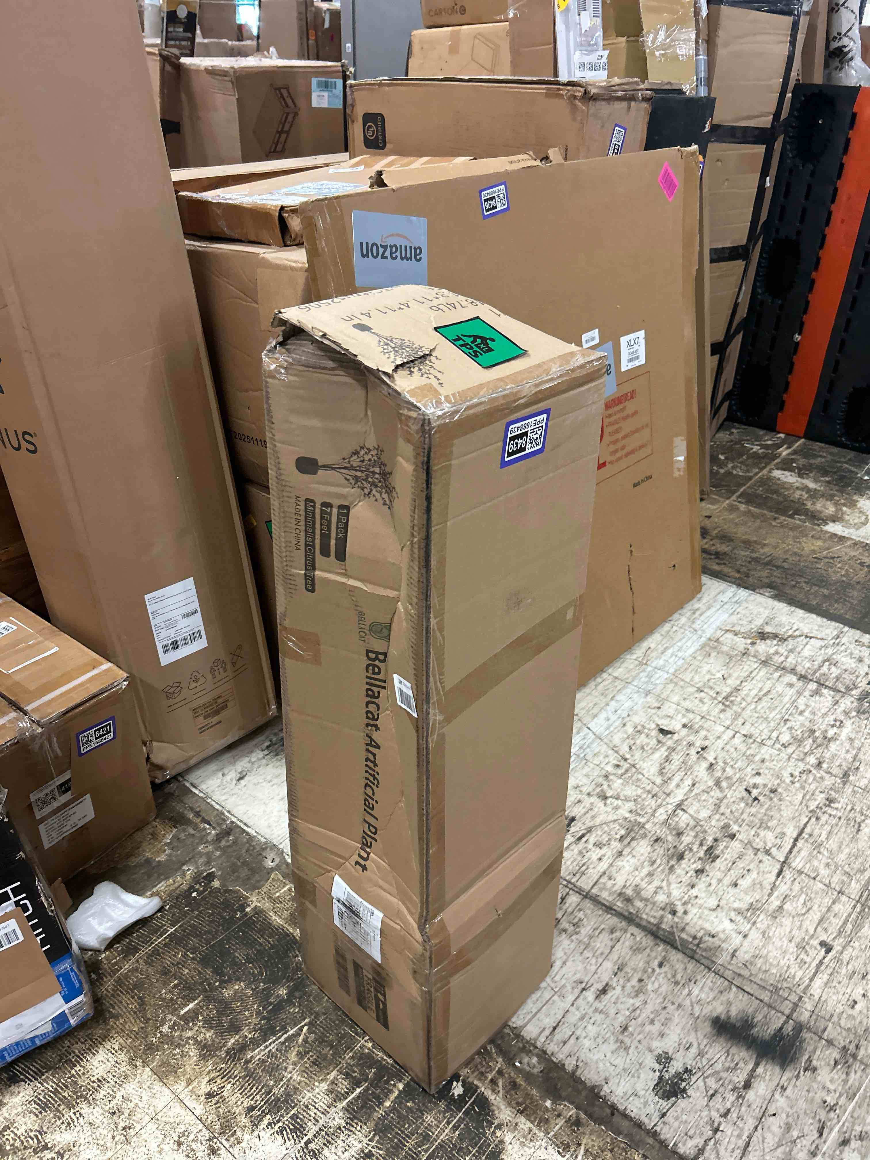 https://s3.amazonaws.com/lotting-images-prod/phillipi/PPE1688439_1777417839430.jpeg