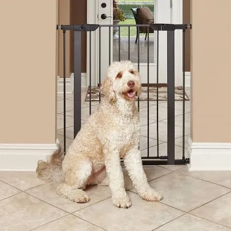 midwest homes for pets 39 inch high walk-through steel pet gate dog gate is 29-38 inches wide textured graphite