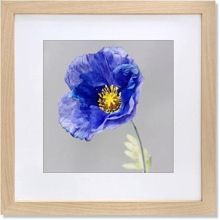 vnvnk 17x17 frame natural wood color, perfect for 17x17 inch picture without mat or 13x13 inch picture with mat, home wall decor picture frame-1 pcs