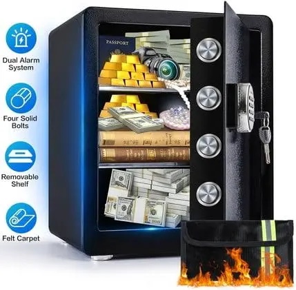 Honeywell 2911 - Safe