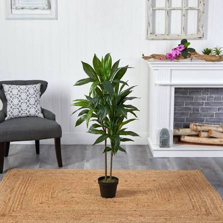 Condition photo showing New/Like New for Nearly Natural 48" Dracaena Silk Plant (Real Touch) Green