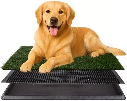 Condition photo showing New/Like New for Artificial Grass Puppy Pee Pad for Dogs and Small Pets - 20x30 Inch, Reusable 3-Layer Turf Pads for Dogs with Tray - Indoor and Outdoor Fake Grass Potty Pet Supplies by PETMAKER