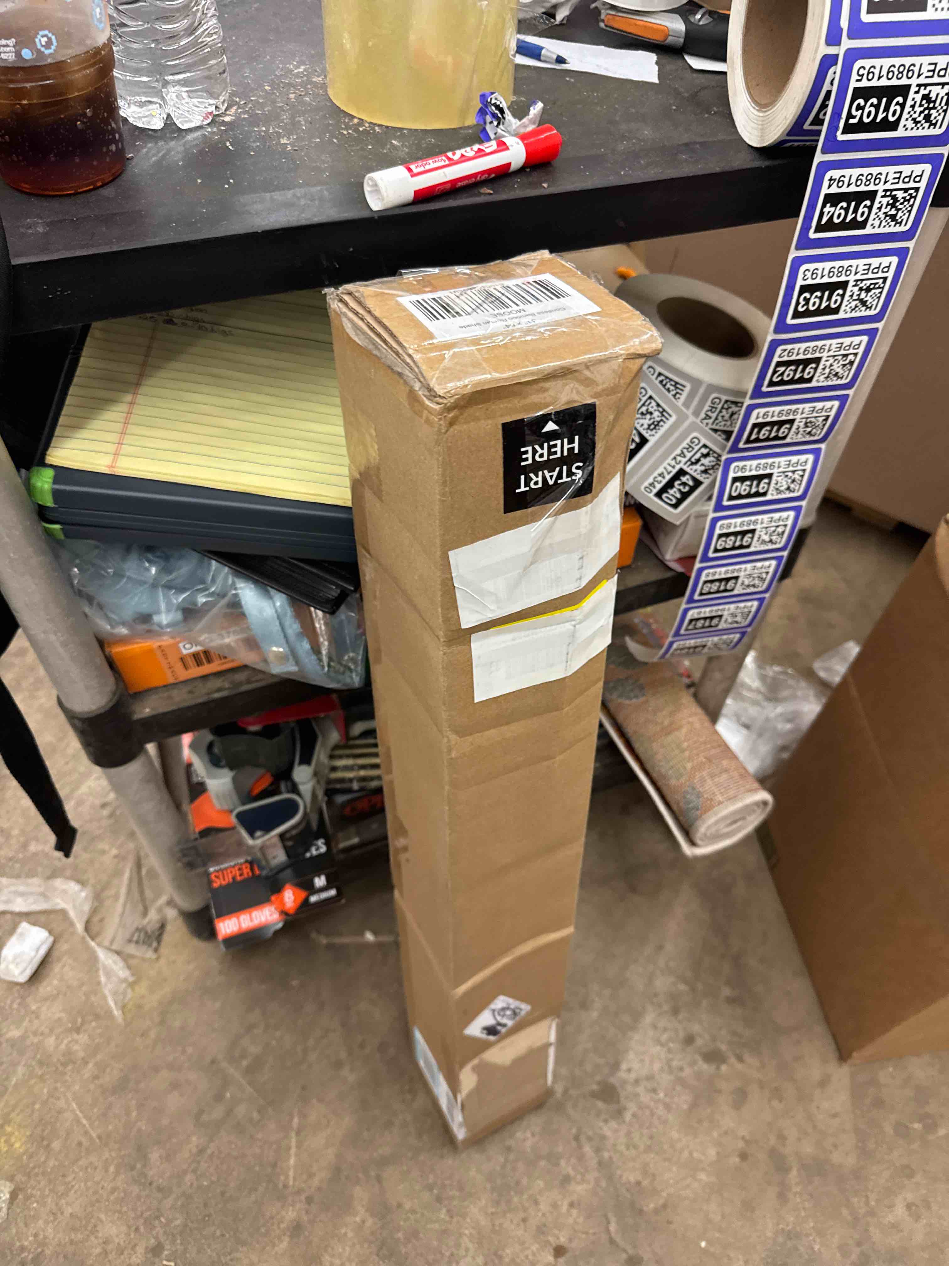 https://s3.amazonaws.com/lotting-images-prod/phillipi/PPE1989186_1744909988777.jpeg