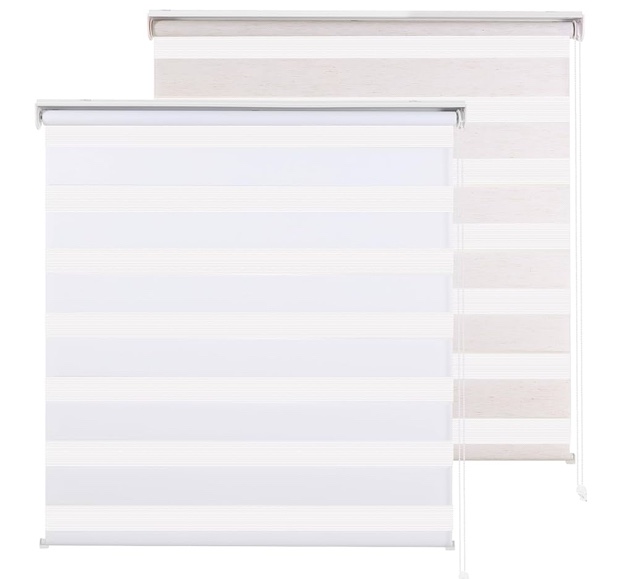 RED GRAPES Zebra Blinds for Windows Dual Layer Roller Window Shades Sheer Privacy Light Control for Day and Night Window Blind Shade for Home and Office,Easy to Install(20" W x 72" H, Natural)