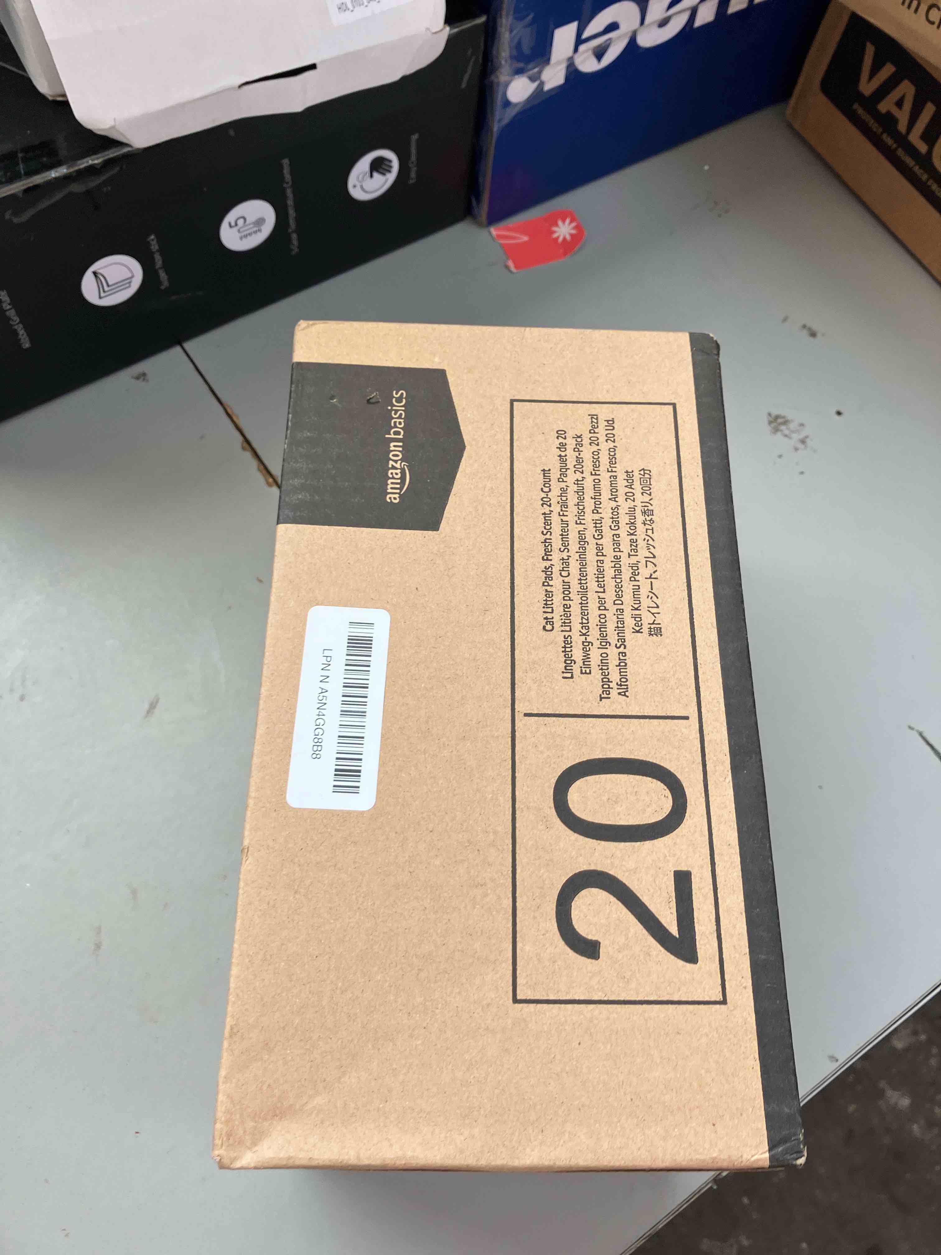 https://s3.amazonaws.com/lotting-images-prod/phillipi/PPE1995395_1746707640560.jpeg