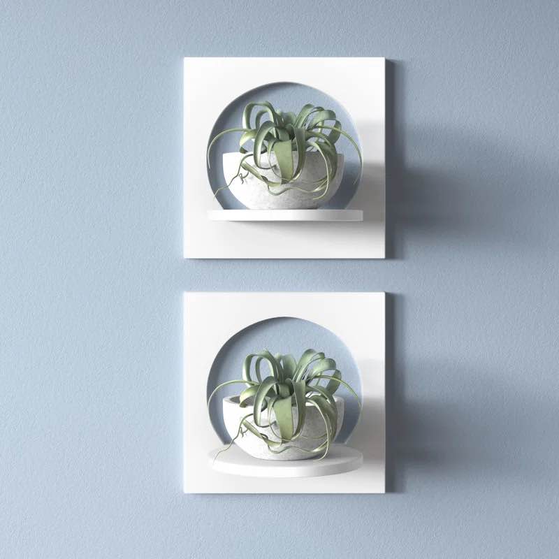 Agran 2 Piece Wall Shelf Set