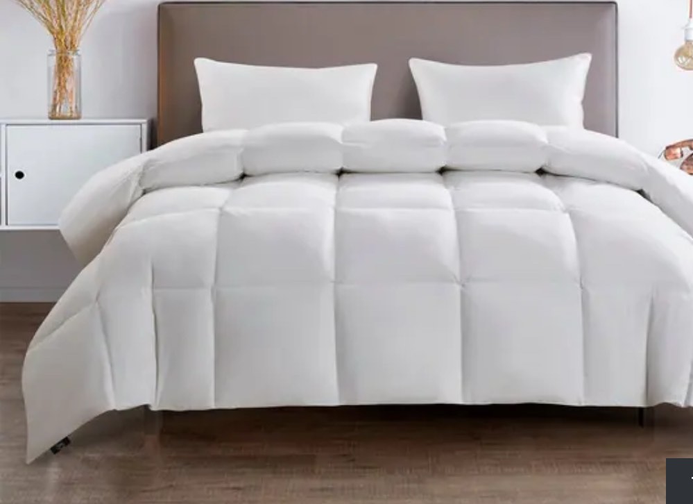 Serta 233 Thread Count White Goose Feather And White Goose Down Fiber Comforter - Full - Queen