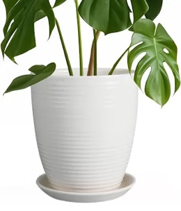 8 Inch Ceramic Planter Pot Round Plant Pot with Drainage Hole and Saucer Modern Flower Pot for Indoor Outdoor Plants White