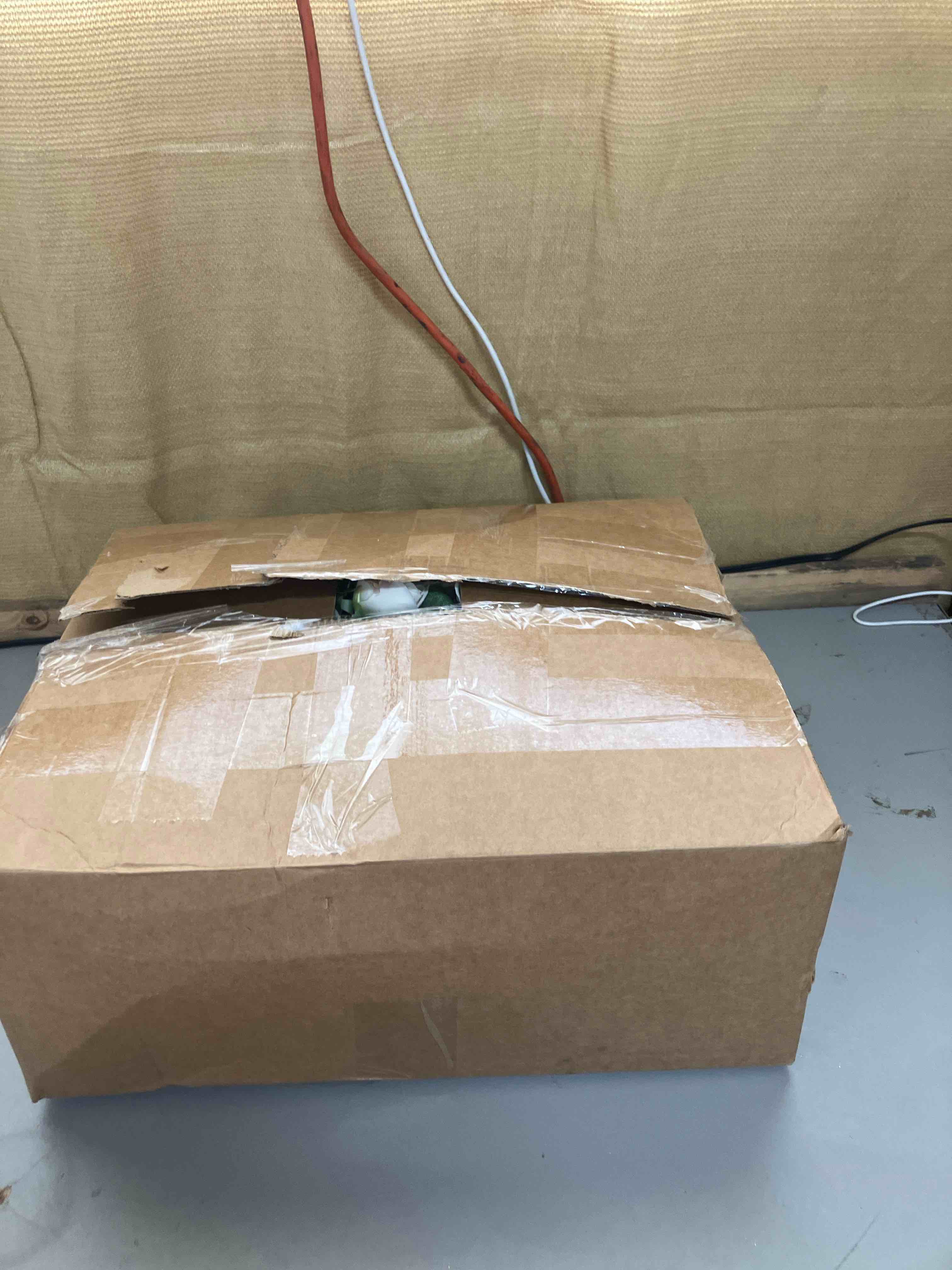 https://s3.amazonaws.com/lotting-images-prod/phillipi/PPE2007142_1740680310844.jpeg