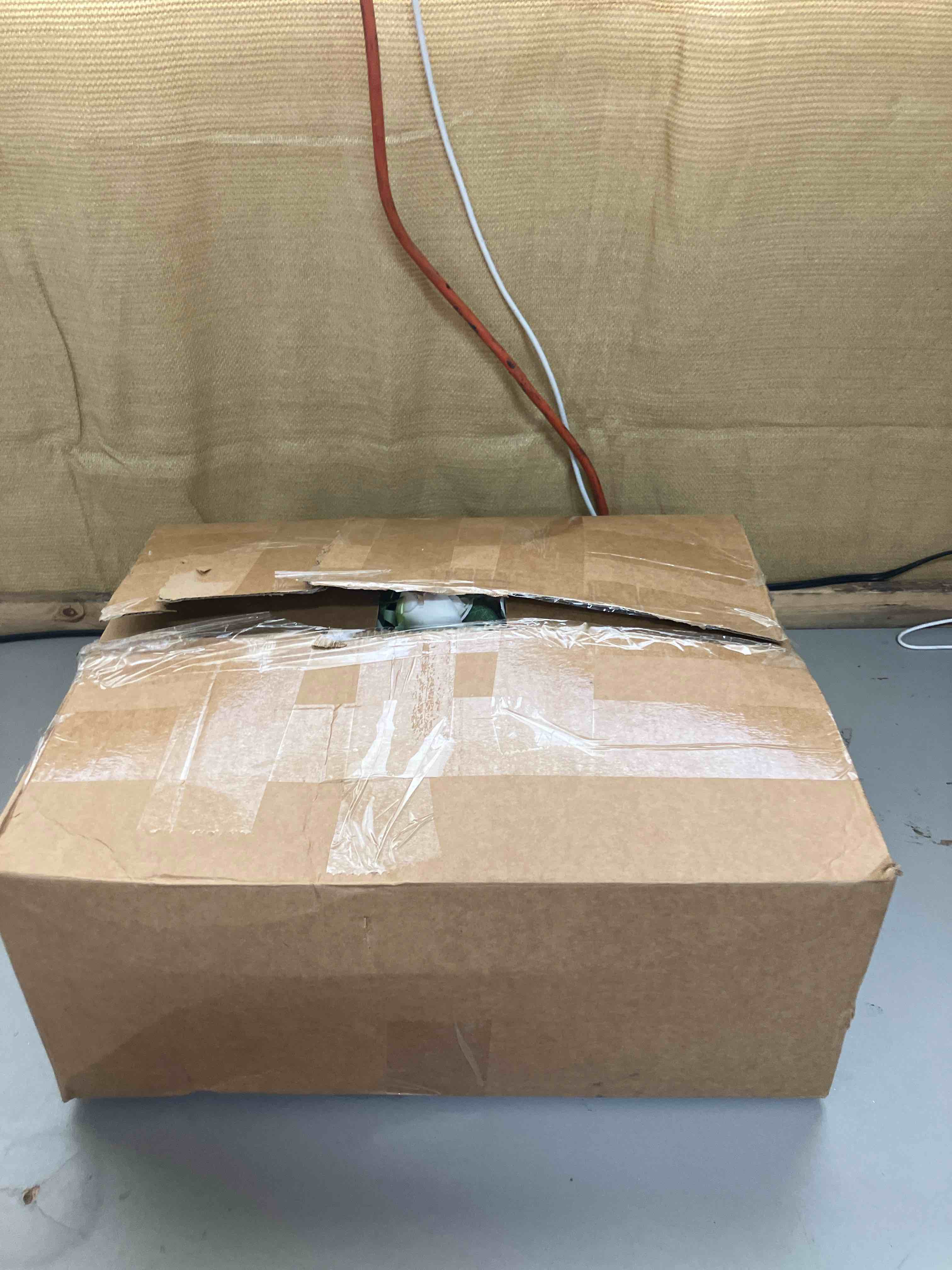https://s3.amazonaws.com/lotting-images-prod/phillipi/PPE2007142_1740680312239.jpeg