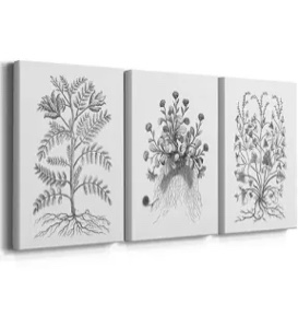 B&W Plant Specimen IX -Custom Wrapped Gallery Canvas - 3 Piec