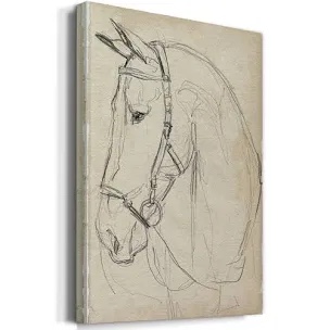 " Horse In Bridle Sketch Il " 